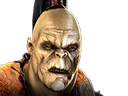 Tigrar Fury