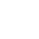 Face Dancer