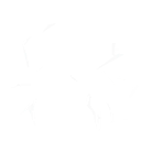 Lightning Net