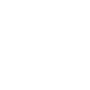 Spirit Of The Dragon