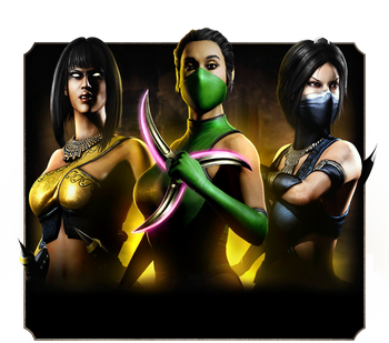 Gold Female Ninja Pack