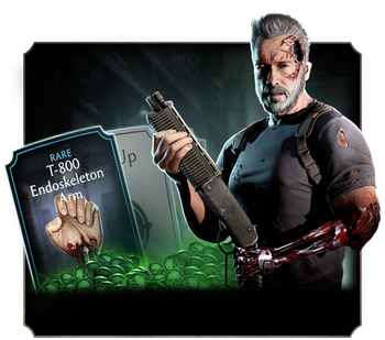 Dark Fate Terminator Bundle